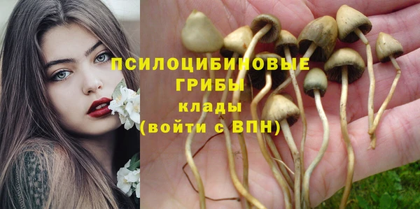 кокаин Снежногорск