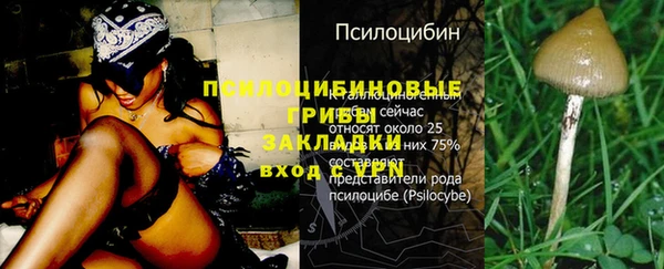 jwh Снежинск