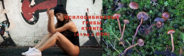 spice Слюдянка