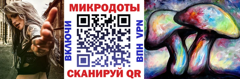 Купить где  Стародуб  Галлюциногенные грибы MAGIC MUSHROOMS 